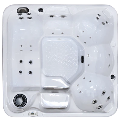 Hawaiian PZ-636L hot tubs for sale in Knoxville